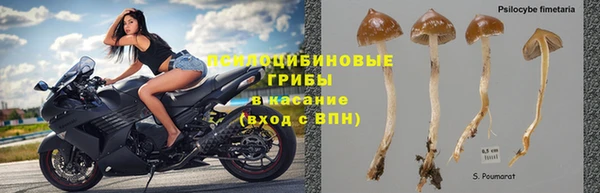 кокаин перу Новодвинск