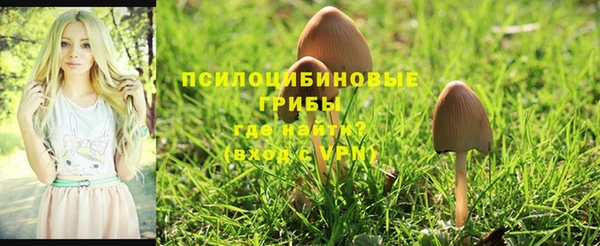 прущая мука Новозыбков